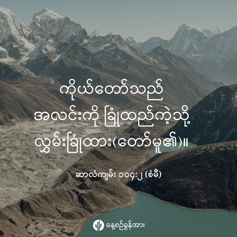 share_odb_2026-05-15-mm
