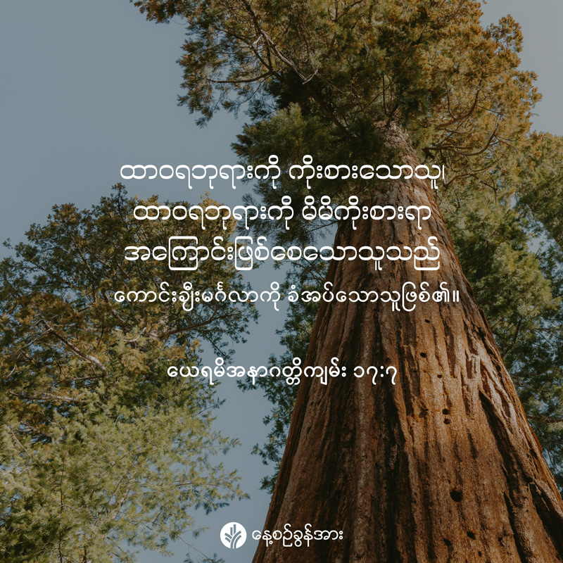 share_odb_2026-05-17-mm