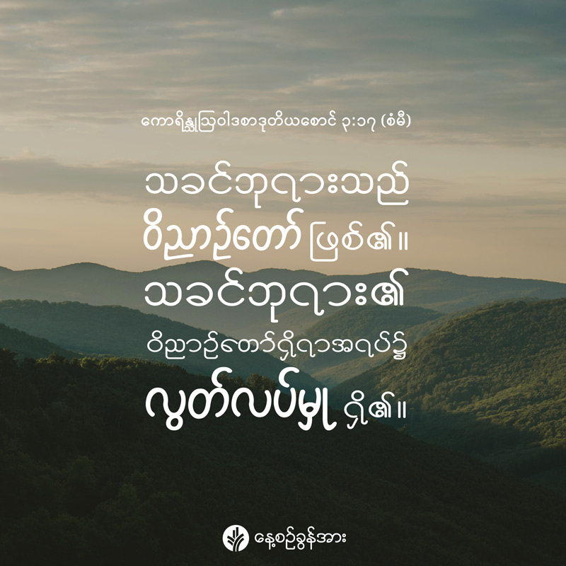 share_odb_2026-05-23-mm