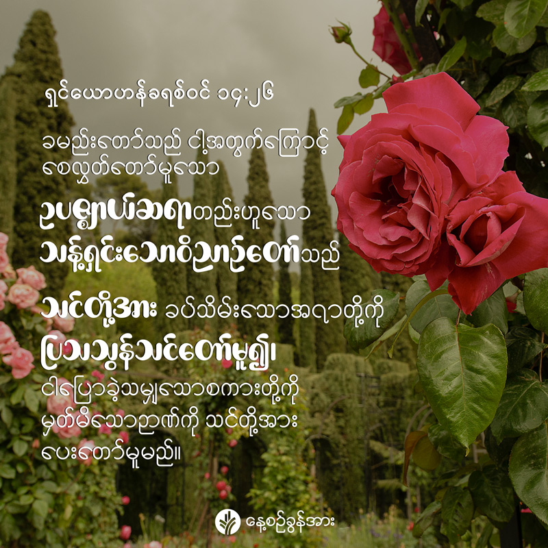 share_odb_2026-05-24-mm