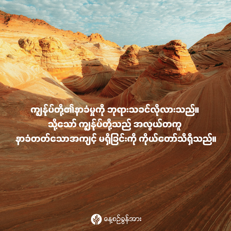 share_odb_2026-05-28-mm