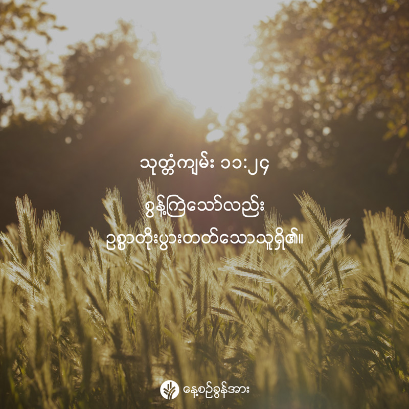share_odb_2026-06-01-mm