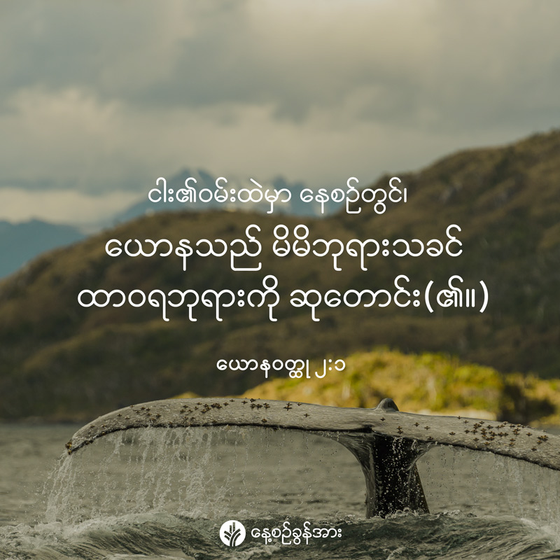 share_odb_2026-06-05-mm