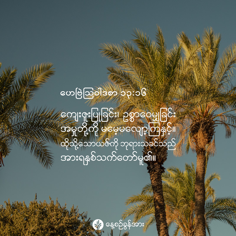 share_odb_2026-06-08-mm