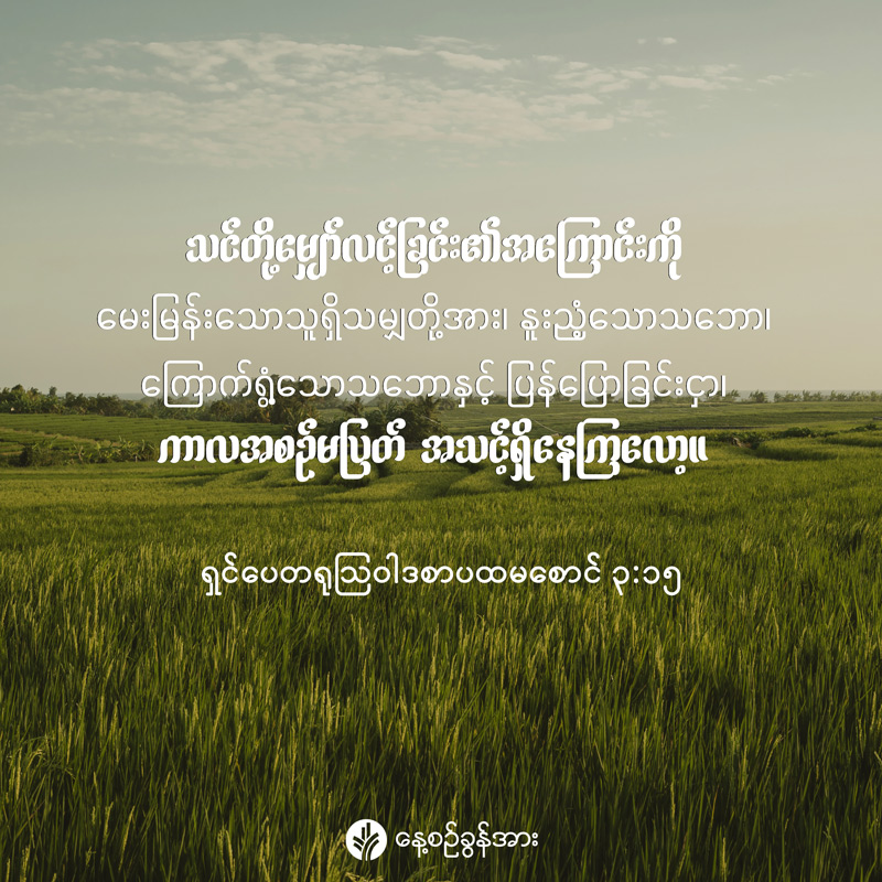 share_odb_2026-06-11-mm share_odb_2026-06-11-mm