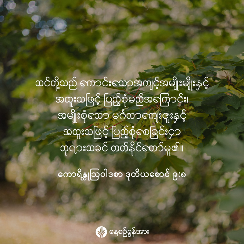 share_odb_2026-06-15-mm share_odb_2026-06-15-mm