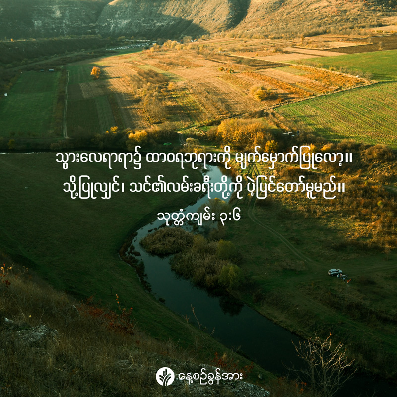 share_odb_2026-06-19-mm
