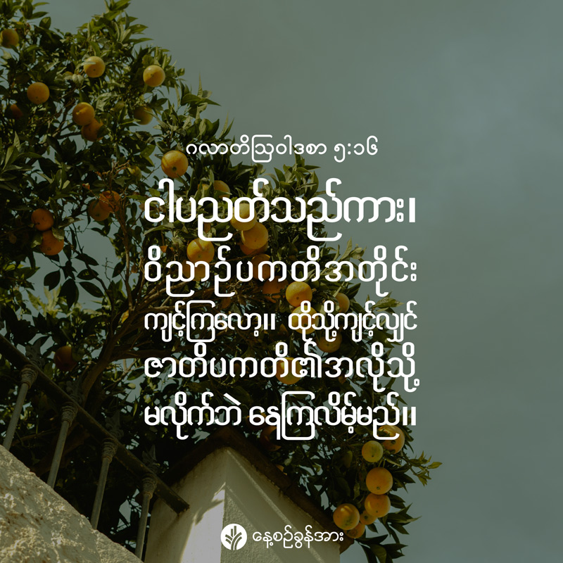 share_odb_2026-06-20-mm
