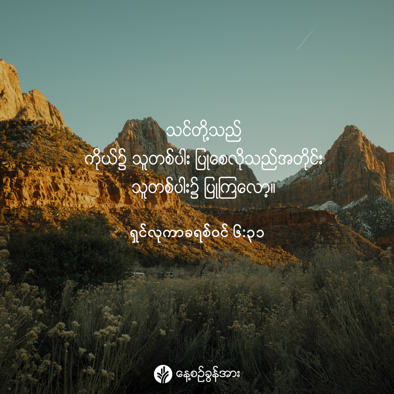 share_odb_2026-06-22-mm