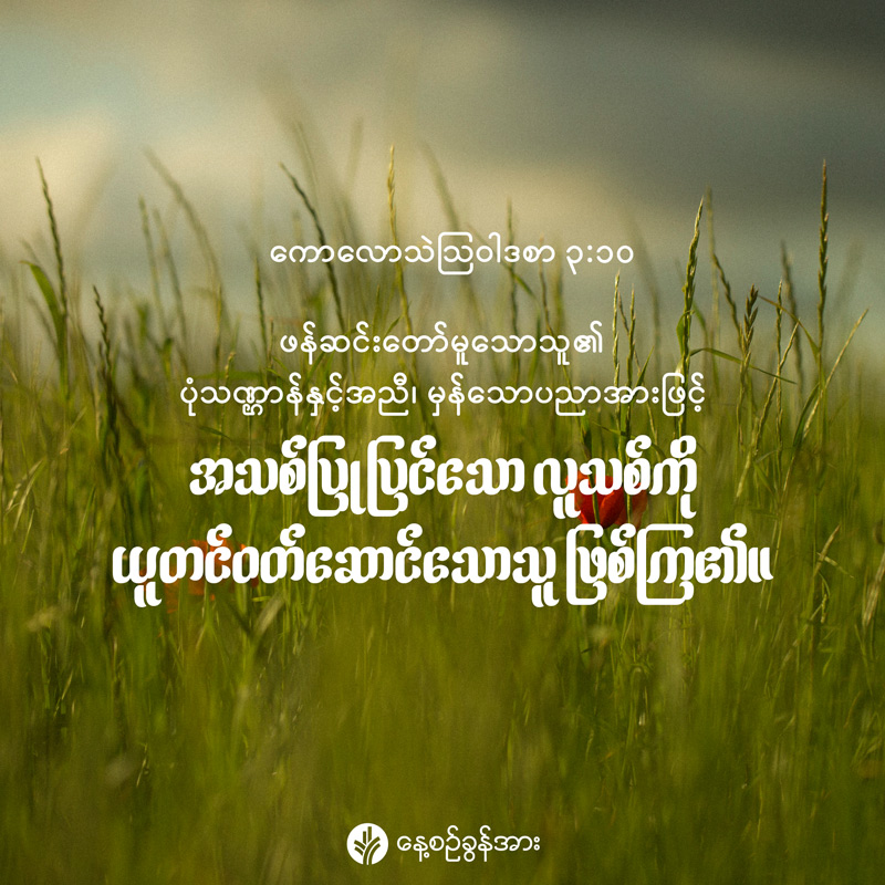 share_odb_2026-06-23-mm