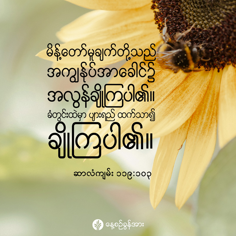 share_odb_2026-06-28-mm
