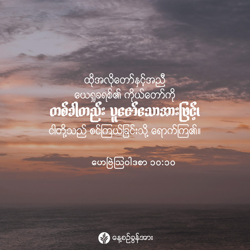 share_odb_2026-06-29-mm