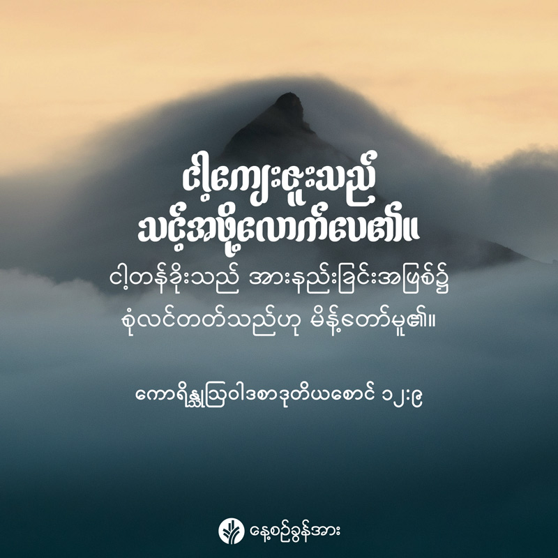 share_odb_2026-06-13-mm share_odb_2026-06-13-mm