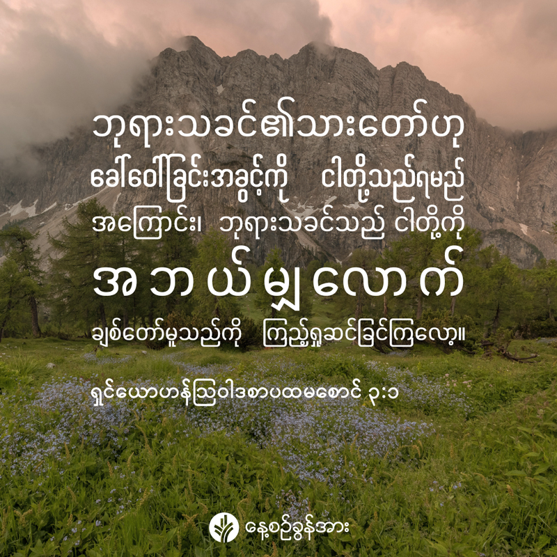 share_odb_2026-07-05-mm