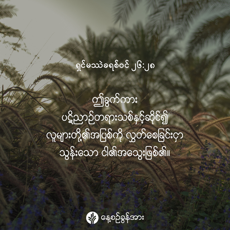 share_odb_2026-07-08-mm