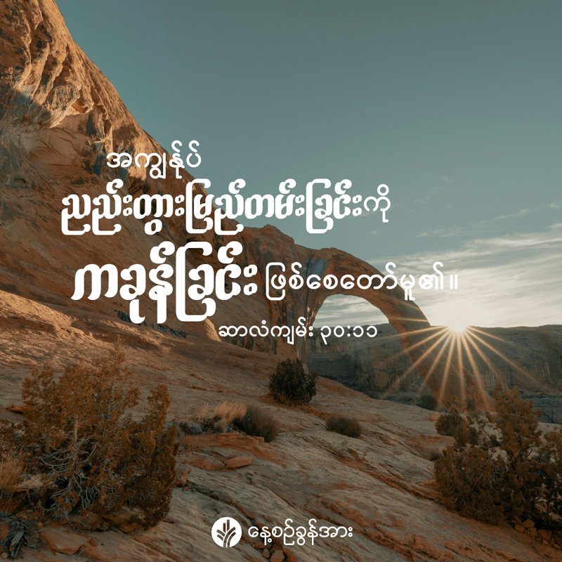 share_odb_2026-07-22-mm