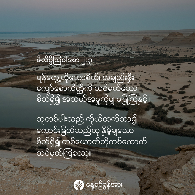share_odb_2026-07-25-mm