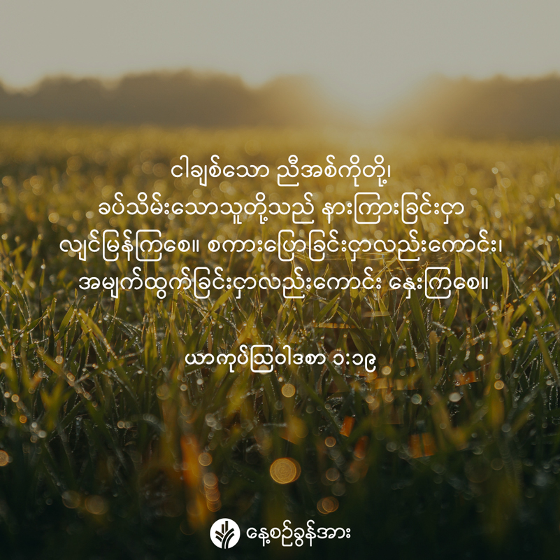share_odb_2026-07-27-mm