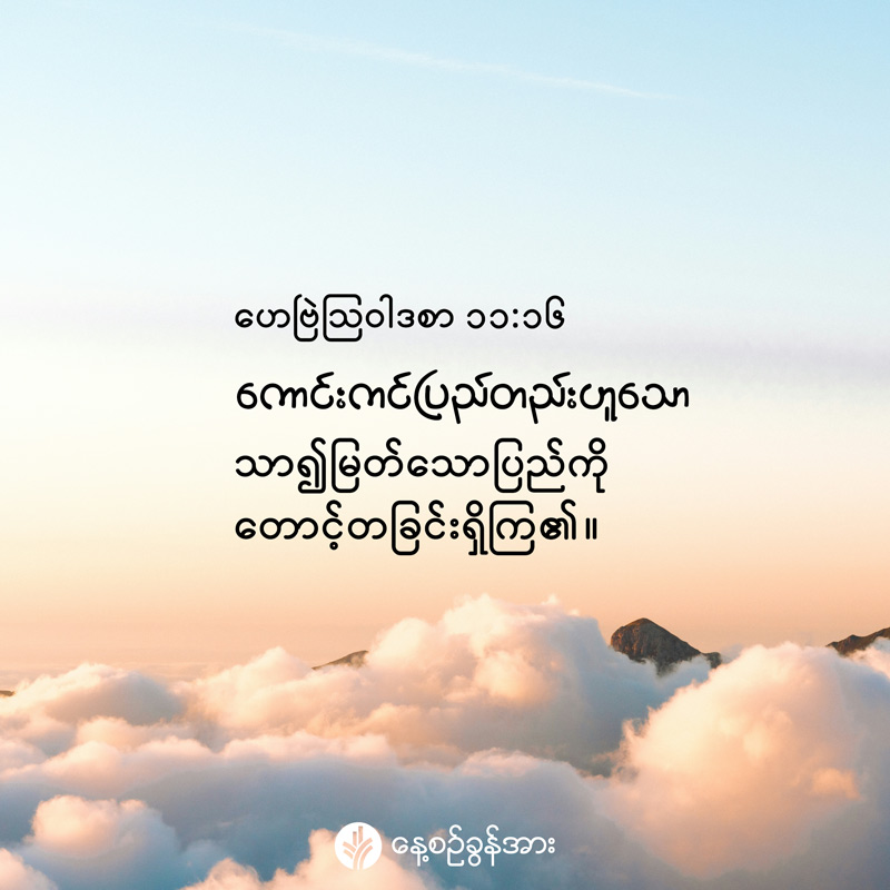 share_odb_2026-08-01-mm