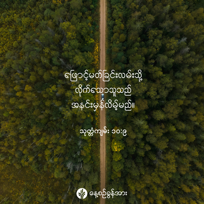 share_odb_2026-08-02-mm