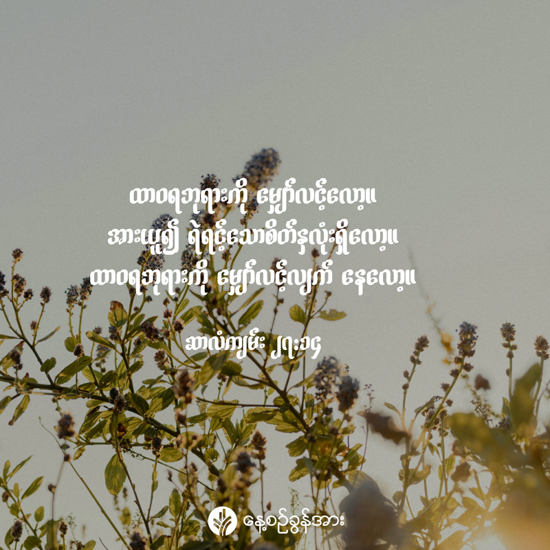 share_odb_2026-08-03-mm
