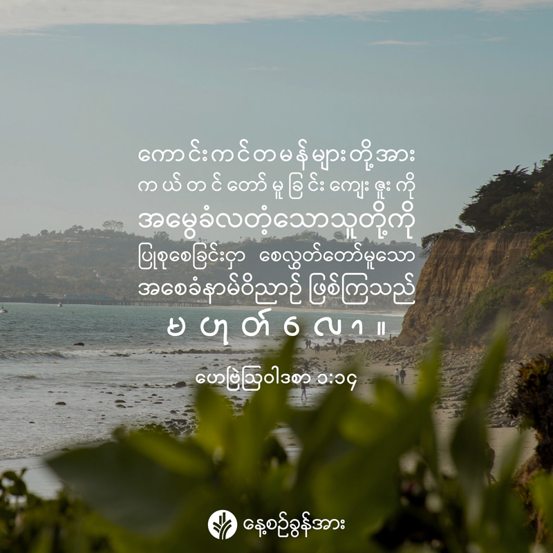 share_odb_2026-08-04-mm