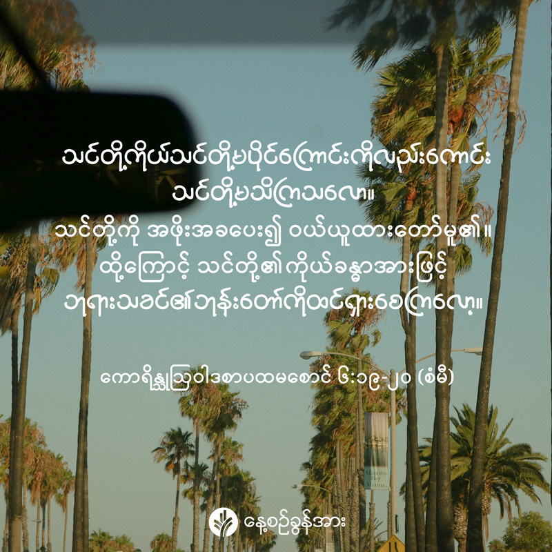 share_odb_2026-08-11-mm share_odb_2026-08-11-mm