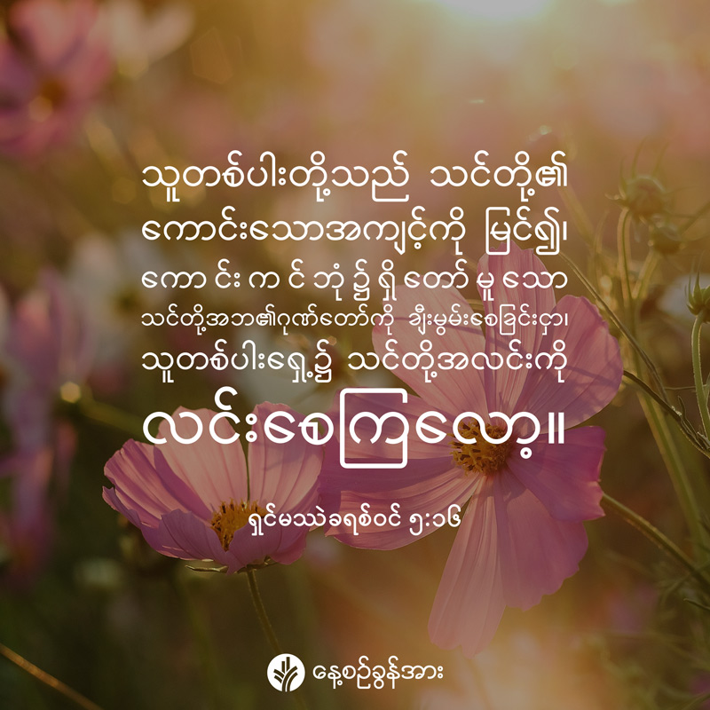 share_odb_2026-08-20-mm share_odb_2026-08-20-mm