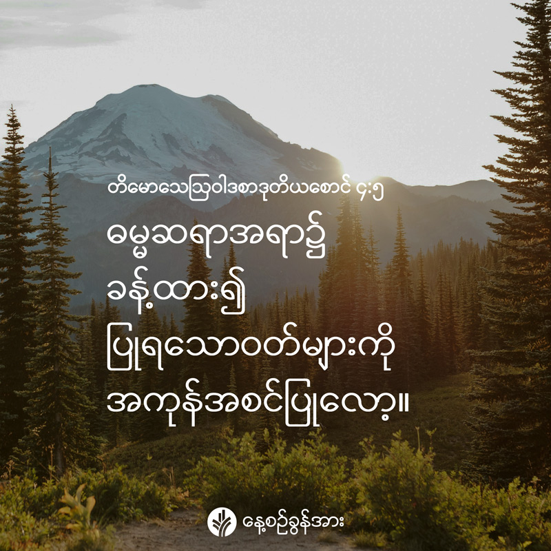 share_odb_2026-08-21-mm
