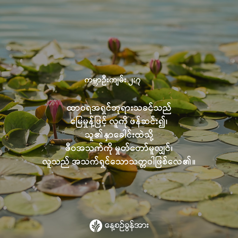 share_odb_2026-08-29-mm
