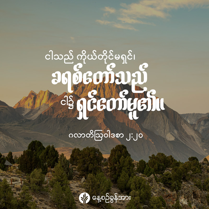 share_odb_2026-08-31-mm