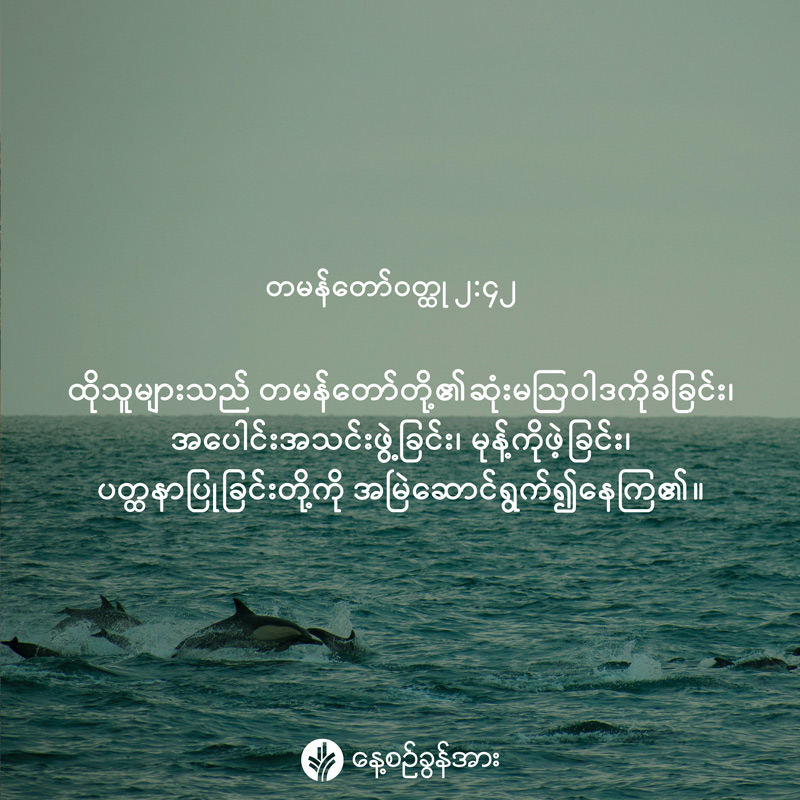 share_odb_2026-09-01-mm