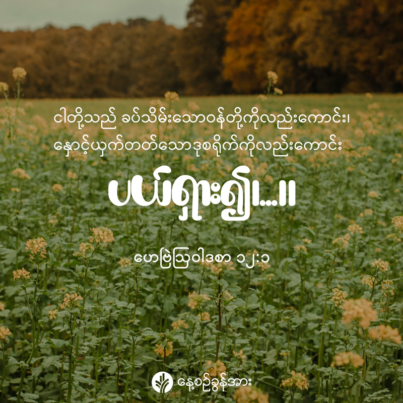 share_odb_2026-09-04-mm