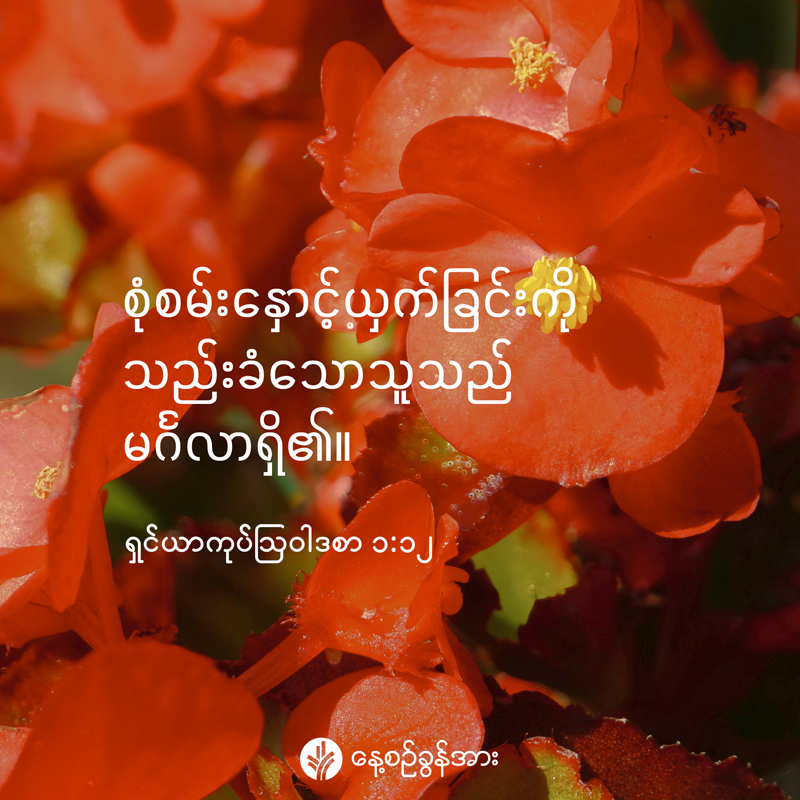 share_odb_2026-09-12-mm share_odb_2026-09-12-mm
