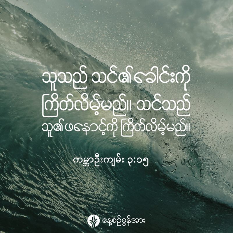 share_odb_2026-09-19-mm