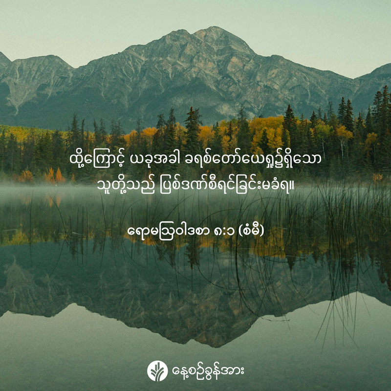 share_odb_2026-09-25-mm share_odb_2026-09-25-mm