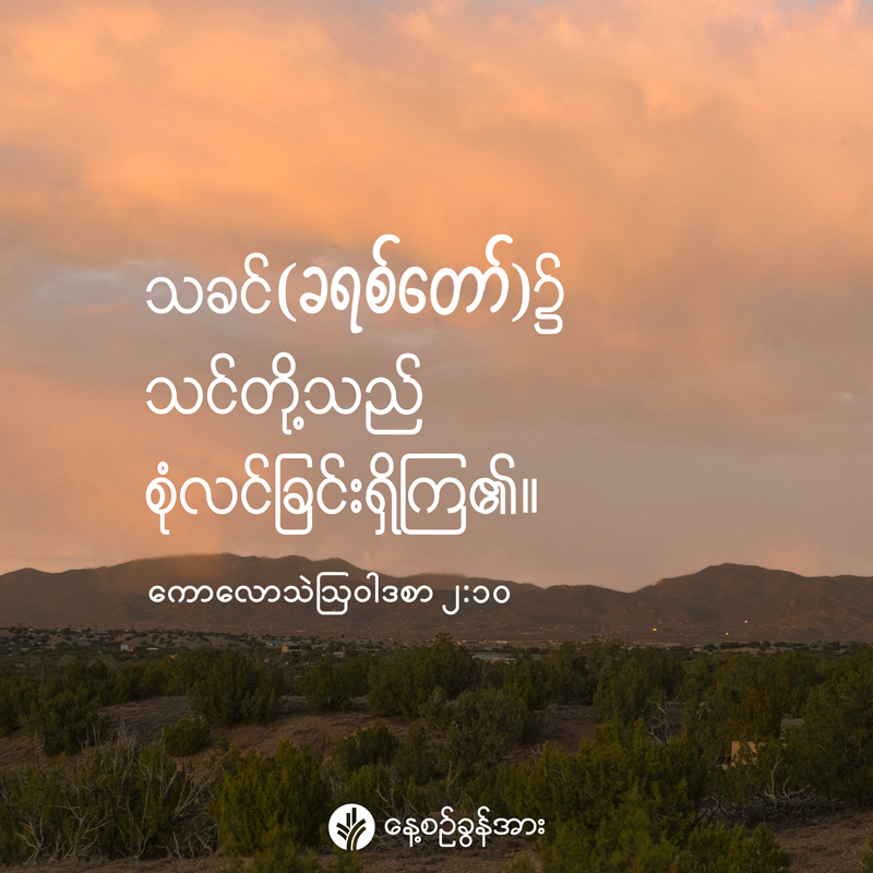 share_odb_2026-09-30-mm